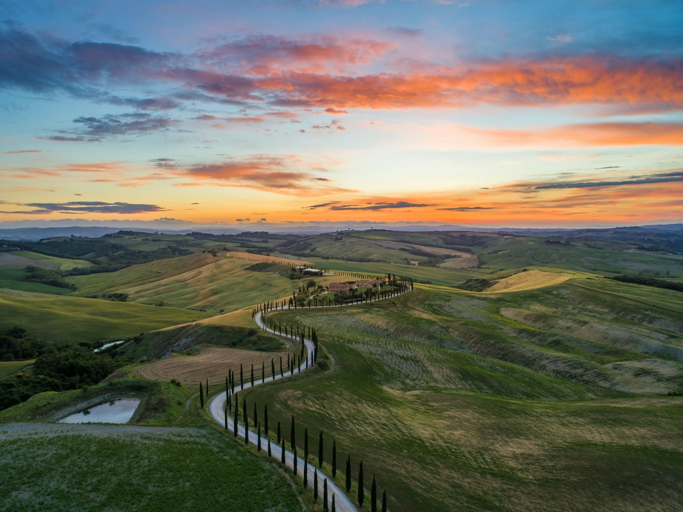A road lined with cypress trees winding through green Tuscan hills at sunset